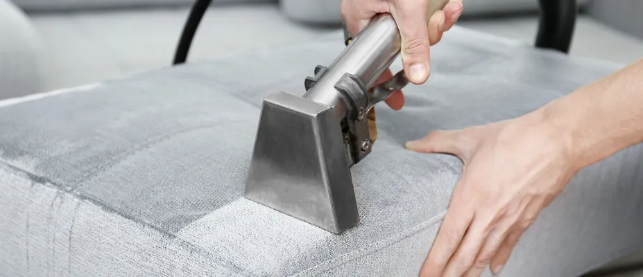 Professional Upholstery Cleaning